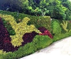 The Green Plant Wall Maze.
