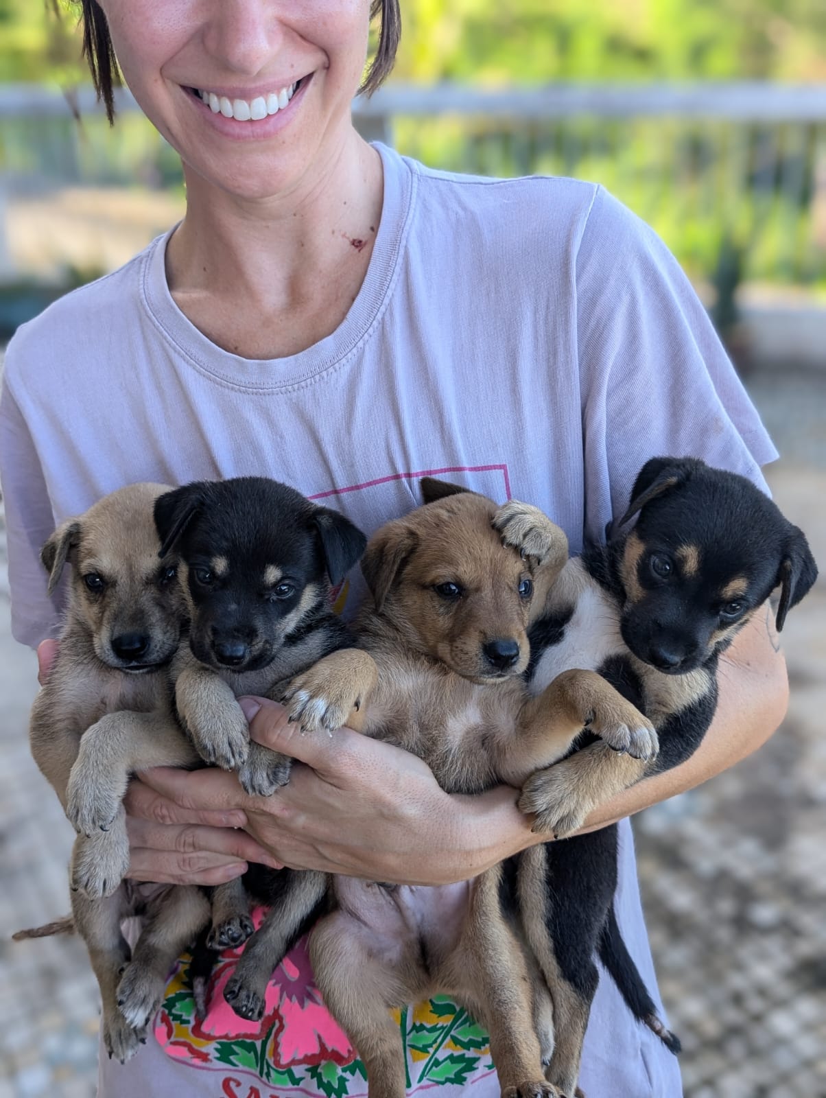 These puppies were abandoned in a parking lot on Mount Tapochao. 