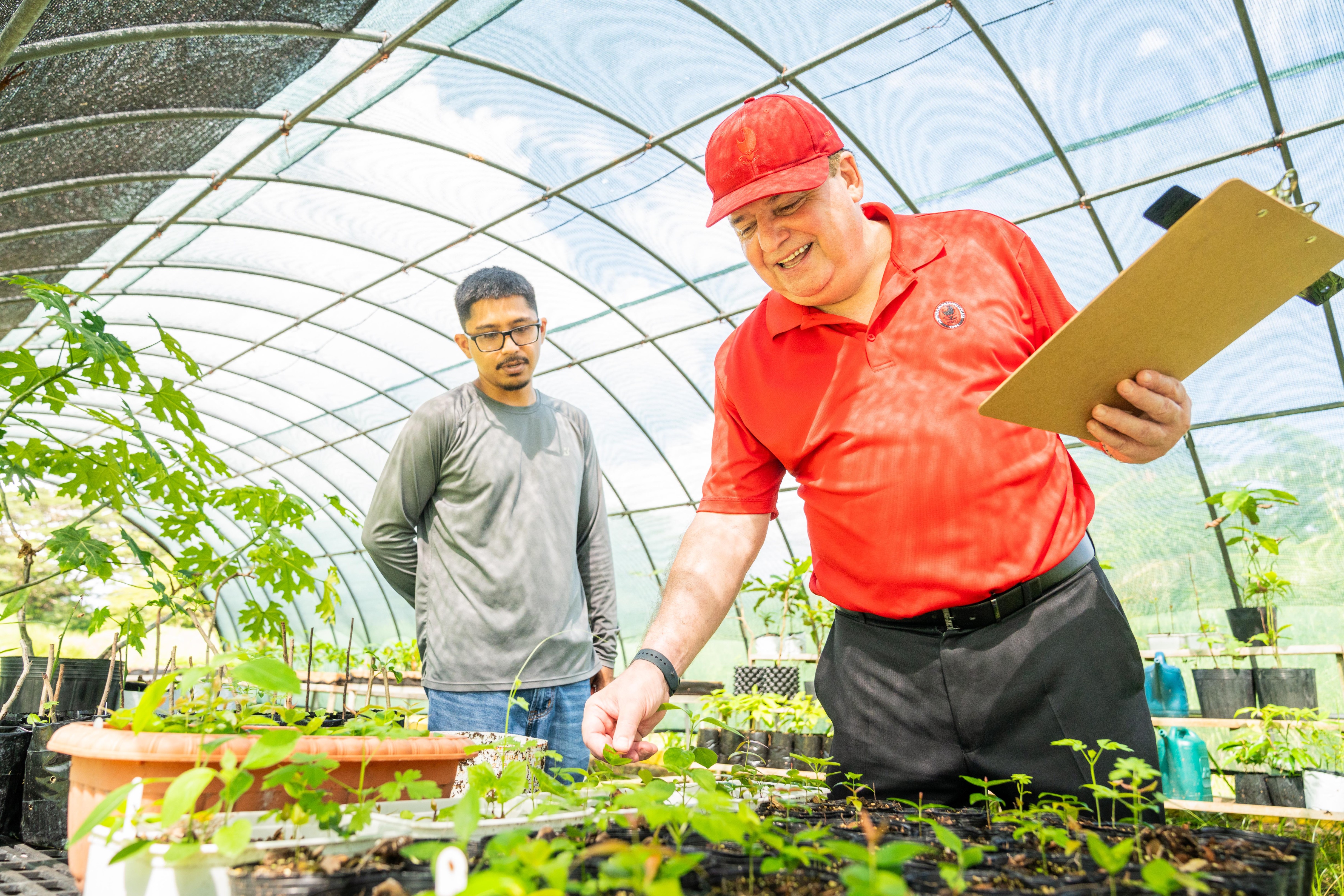 NMC-CREES Agriculture Program Leader Dr. Adrian Ares examines a seedling alongside Keoni Tudela of the NMC-CREES Agroforestry program.NMC photo
