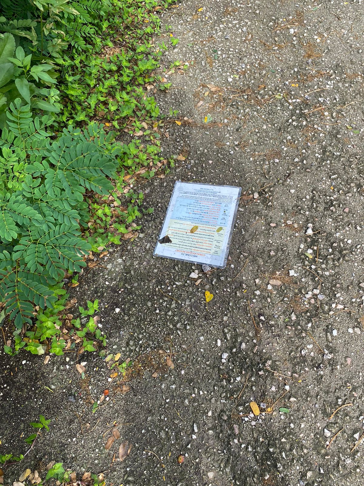This sign from a COP golf cart was found discarded on a side road on Tuesday, Sept. 10.  