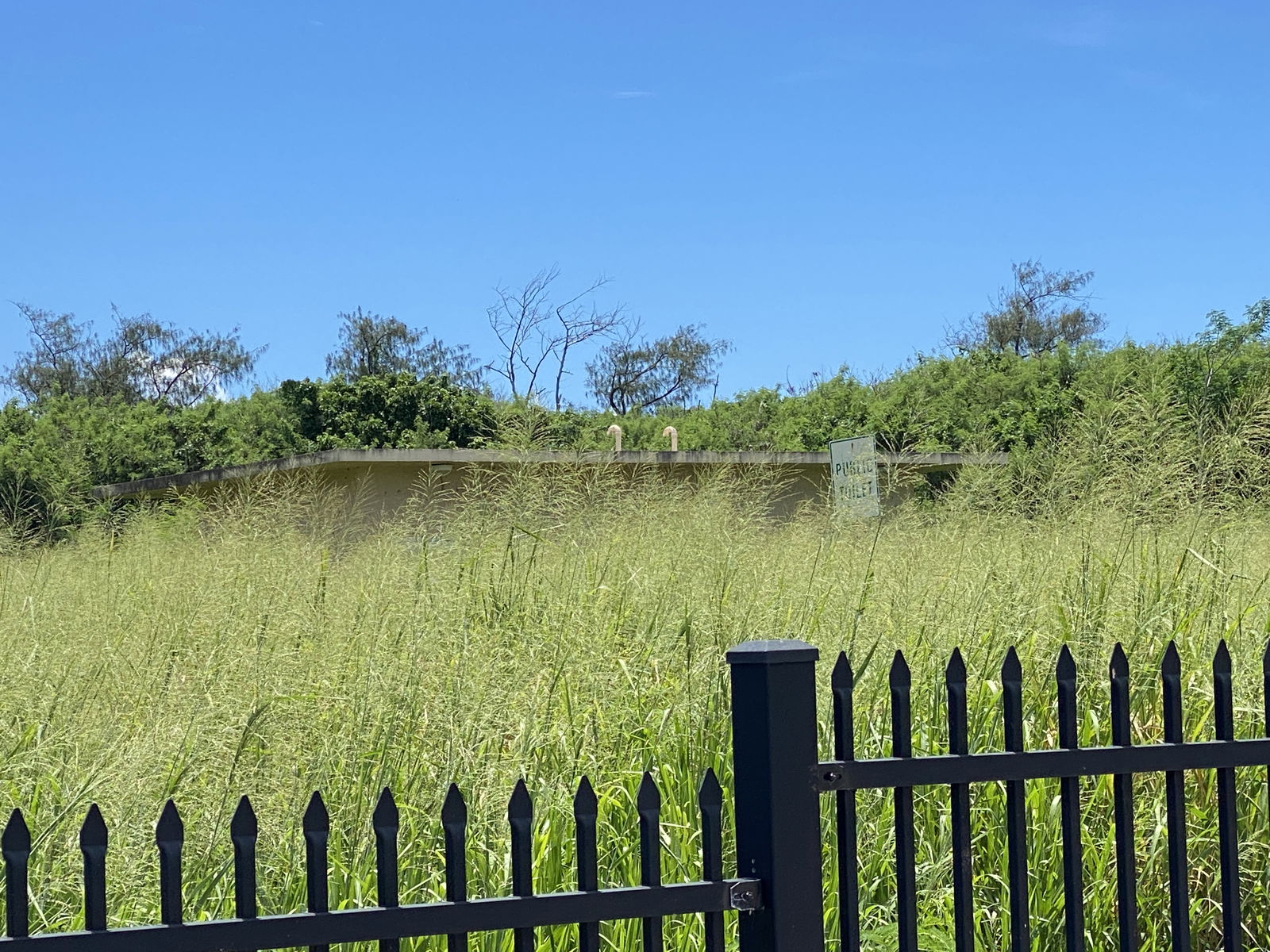 The area designated for the Marpi public cemetery is covered with overgrown vegetation.  