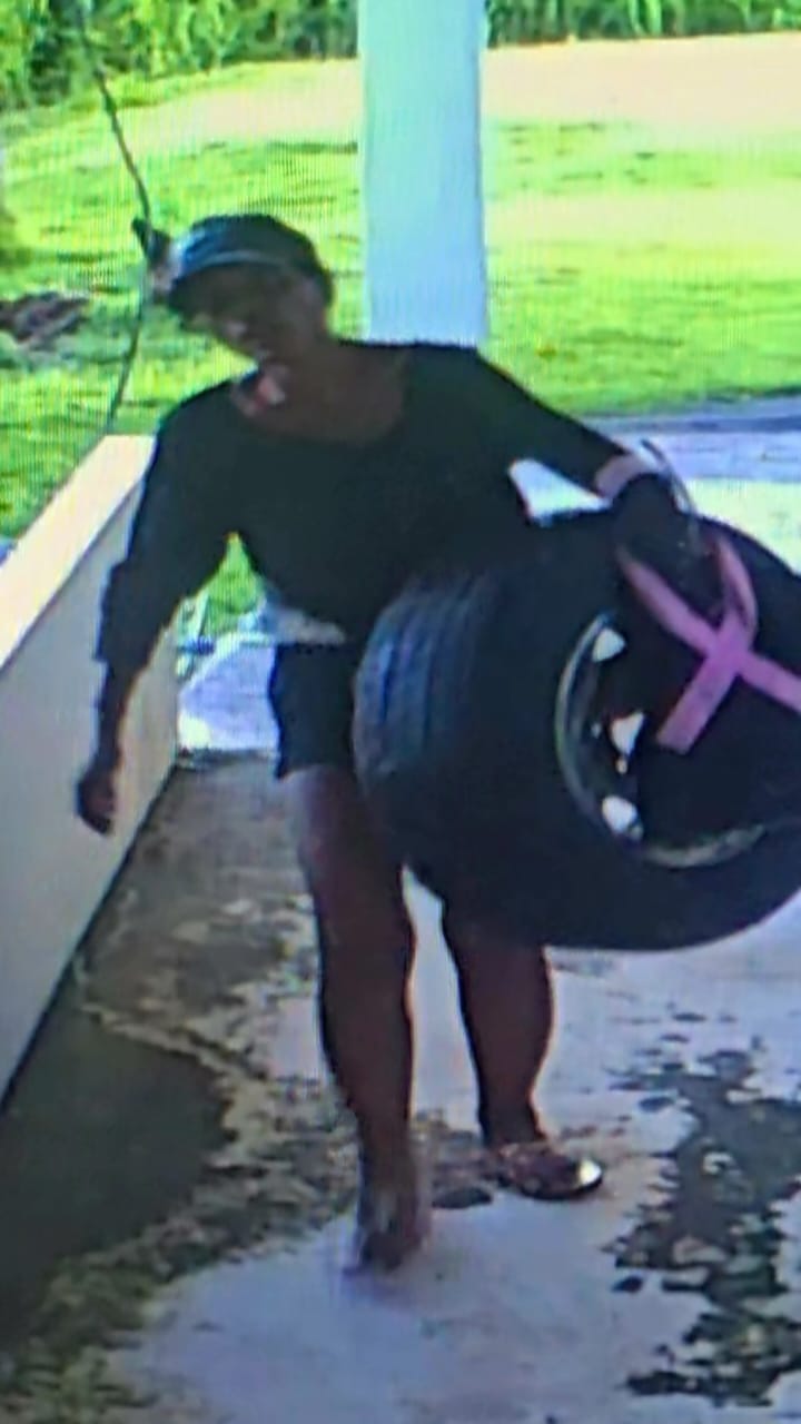 The female burglary and theft suspect.