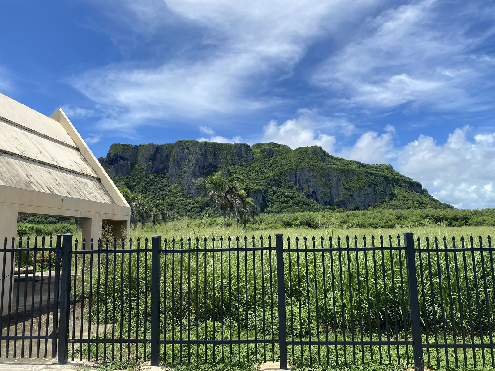 The area has infrastructure for the Marpi public cemetery, which was established in 1999 by Public Law 11-117, but has yet to open. It is already overgrown with foliage. 