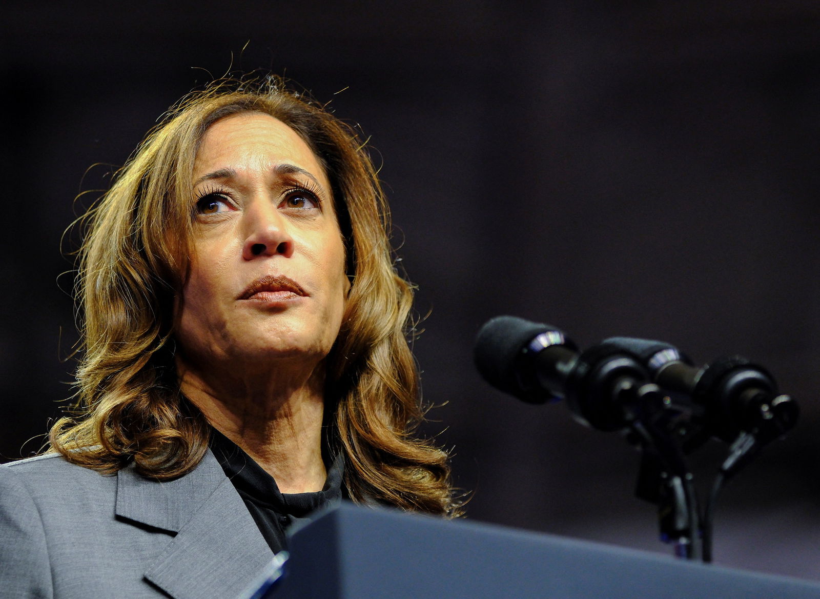 Democratic presidential nominee Kamala Harris speaks during a campaign event in Madison, Wisconsin, Sept. 20, 2024.