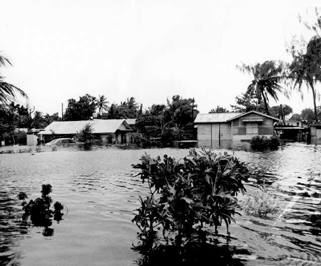 A photo of the U.S. Navy’s Department of Public Affairs-University of Hawaii, Manoa, shows the flooding in the village of Susupe on August 1978. The inundation led Tun Herman Pan and Tan Marikita Pan, under the leadership of Juan Pan, to relocate their business operation to its current location, on Tun Herman Pan Road (Airport Road) in Dandan.