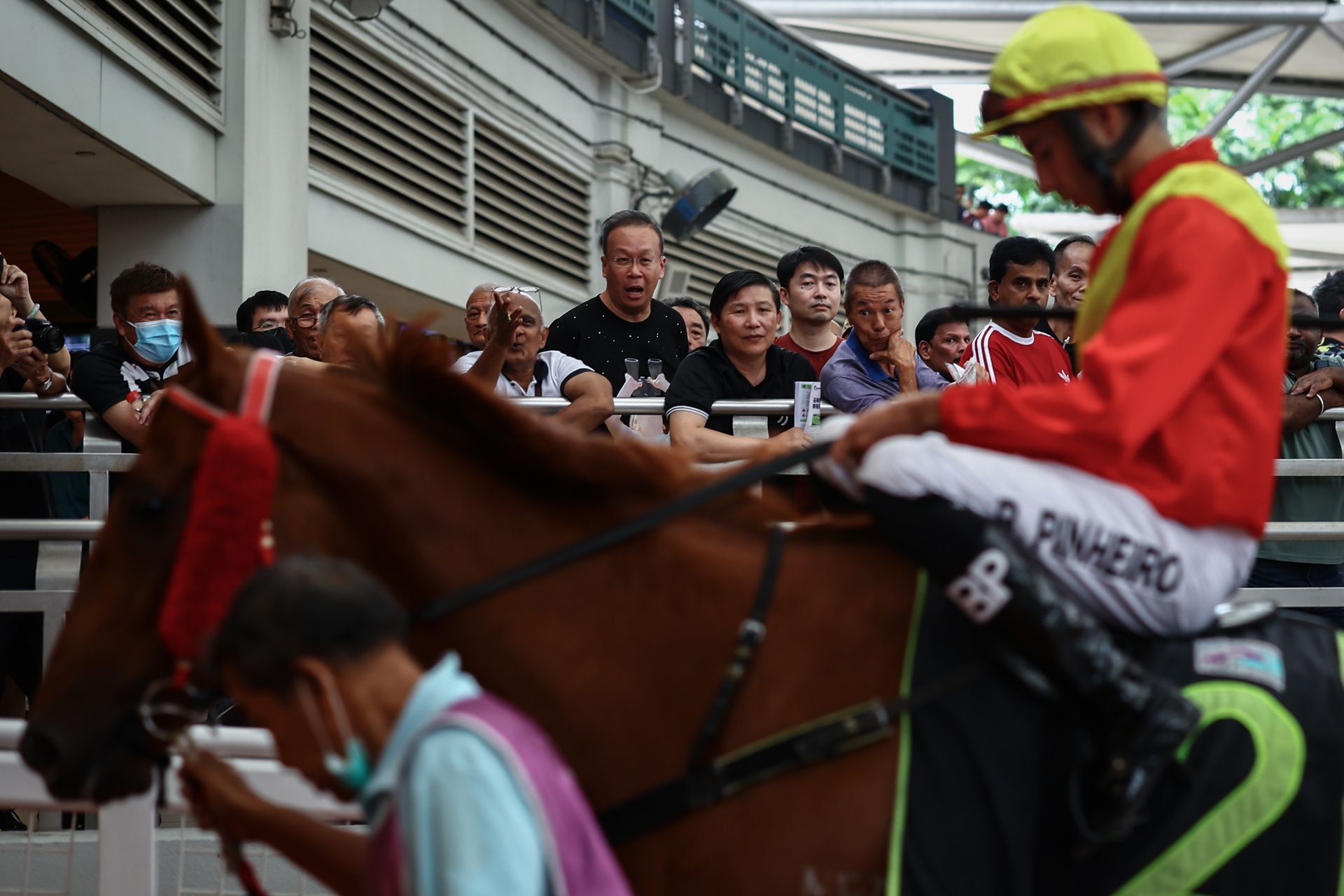 Punters assess horses and jockeys during a parade at the Singapore Turf Club in Kranji, Singapore, Oct. 5, 2024.