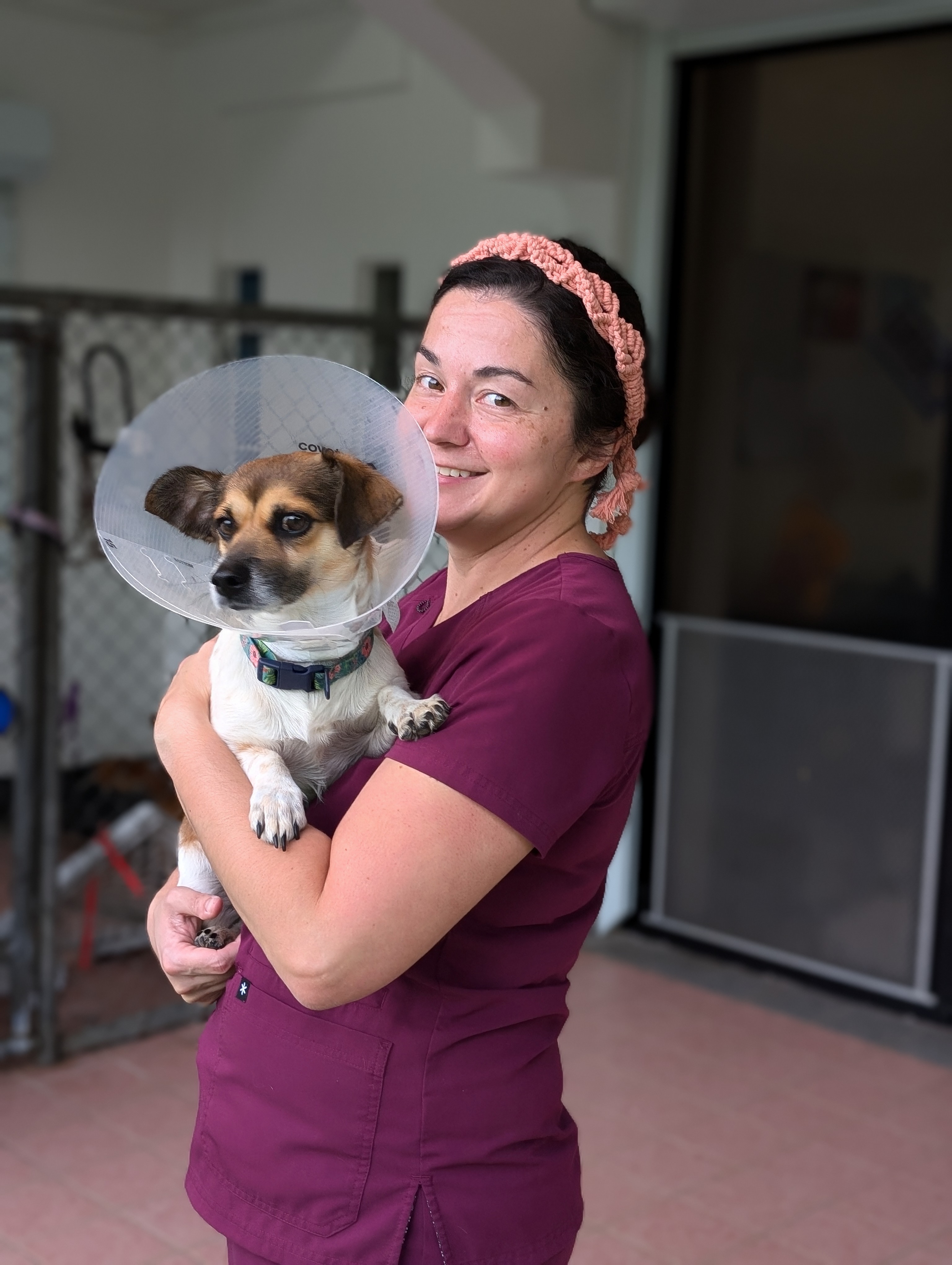 Dr. Jessica Nelson holds Princess Buttercup during Saipan Humane Society’s spay and neuter clinic.