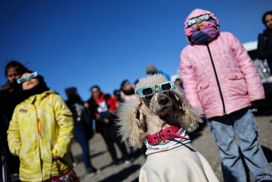 Dana the dog wears glasses as people watch an annular solar eclipse in Las Horquetas, Santa Cruz, Argentina, Oct. 2, 2024.