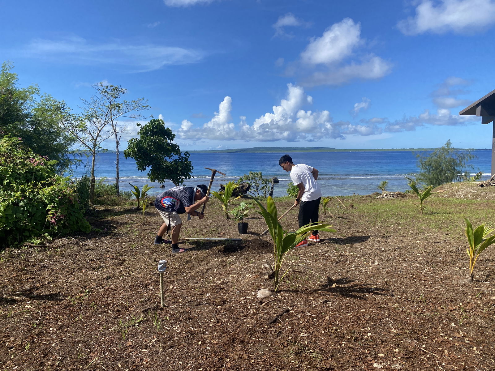 Katmelo San Nicolas, left, and Martin Abendan from Elusive Kulture car club dig up the soil to plant a talisai among a group of coconut trees at Agingan Beach.  