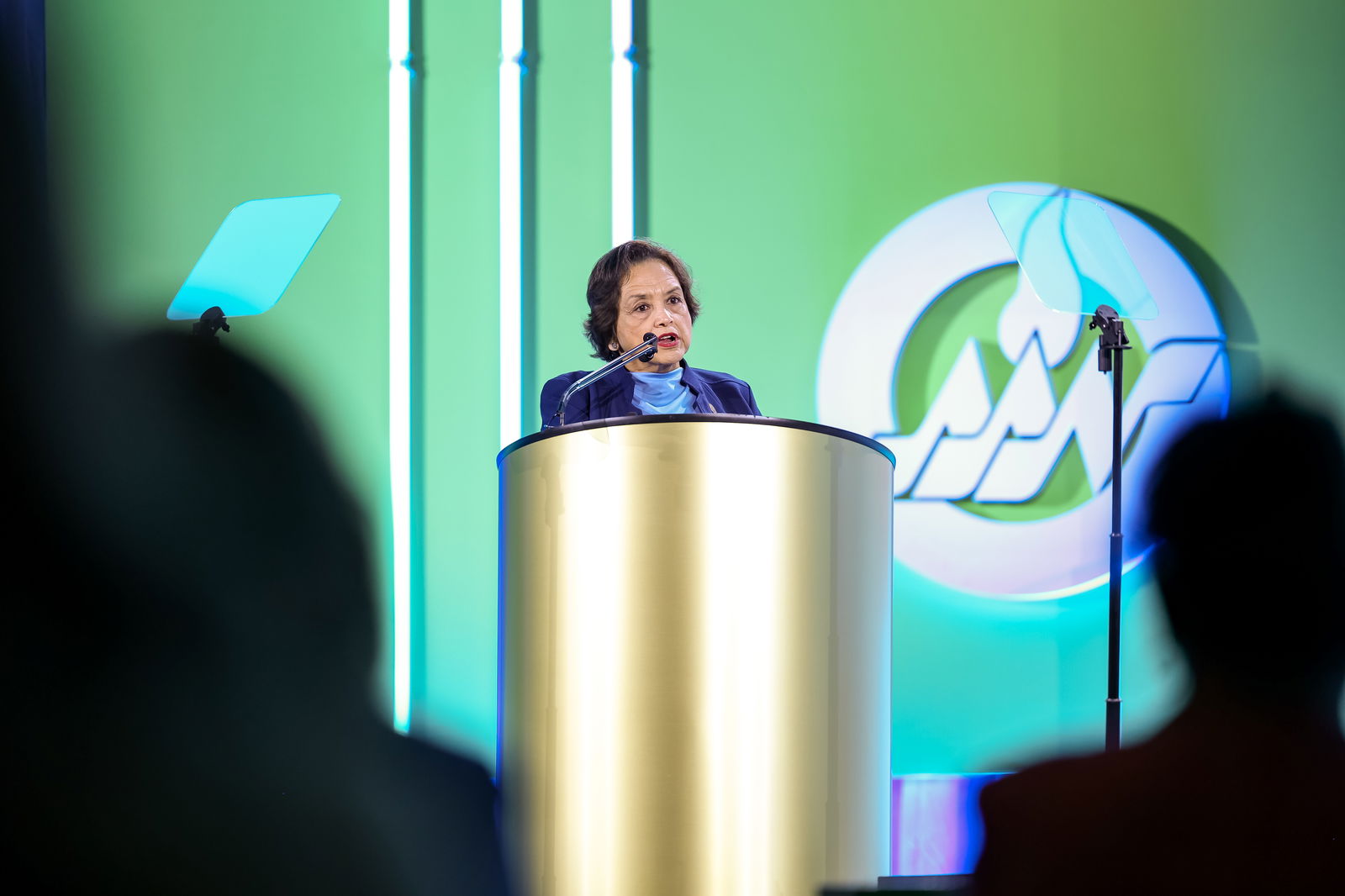 Guam Gov. Lou Leon Guerrero delivers her remarks during the American Academy of Nursing induction ceremony in Washington, D.C. on Nov. 2, 2024.