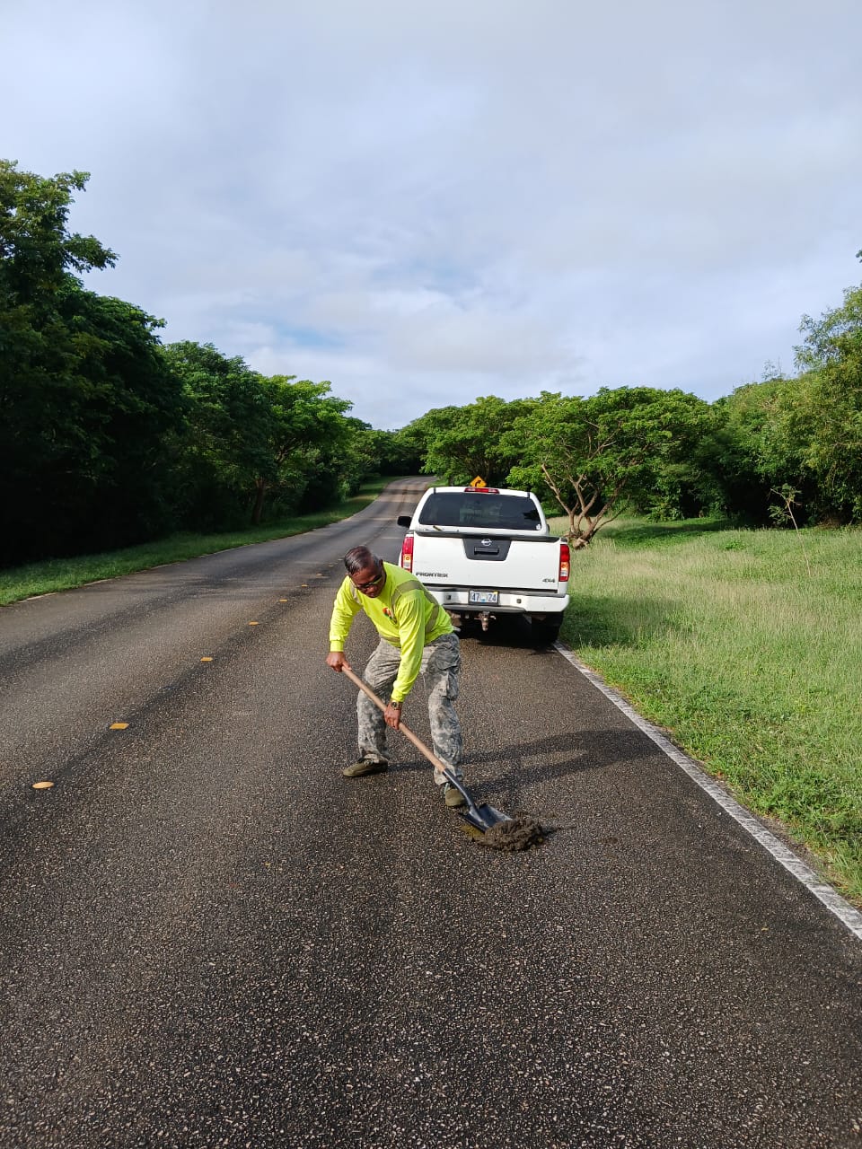 Max Aguon uses a shovel to remove cow manure from a public road in Marpi on Sunday morning.
