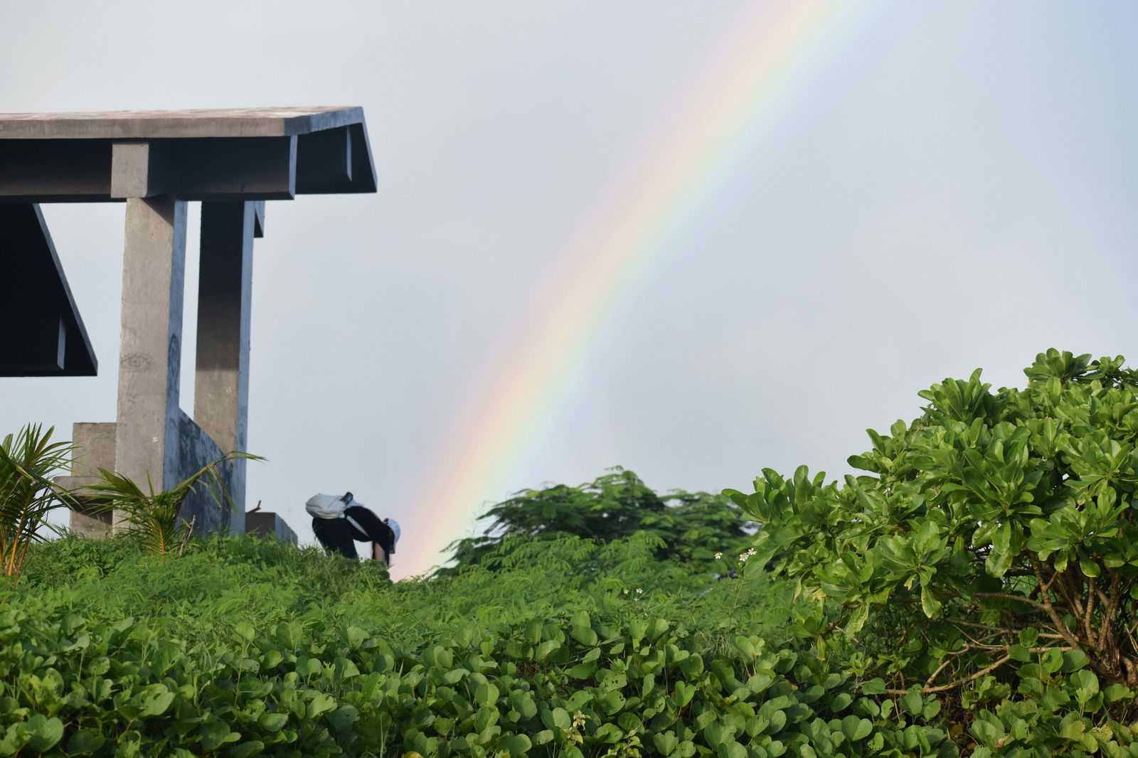 P&A Corporation President Doyi Kim picks up trash “at the end of the rainbow.”