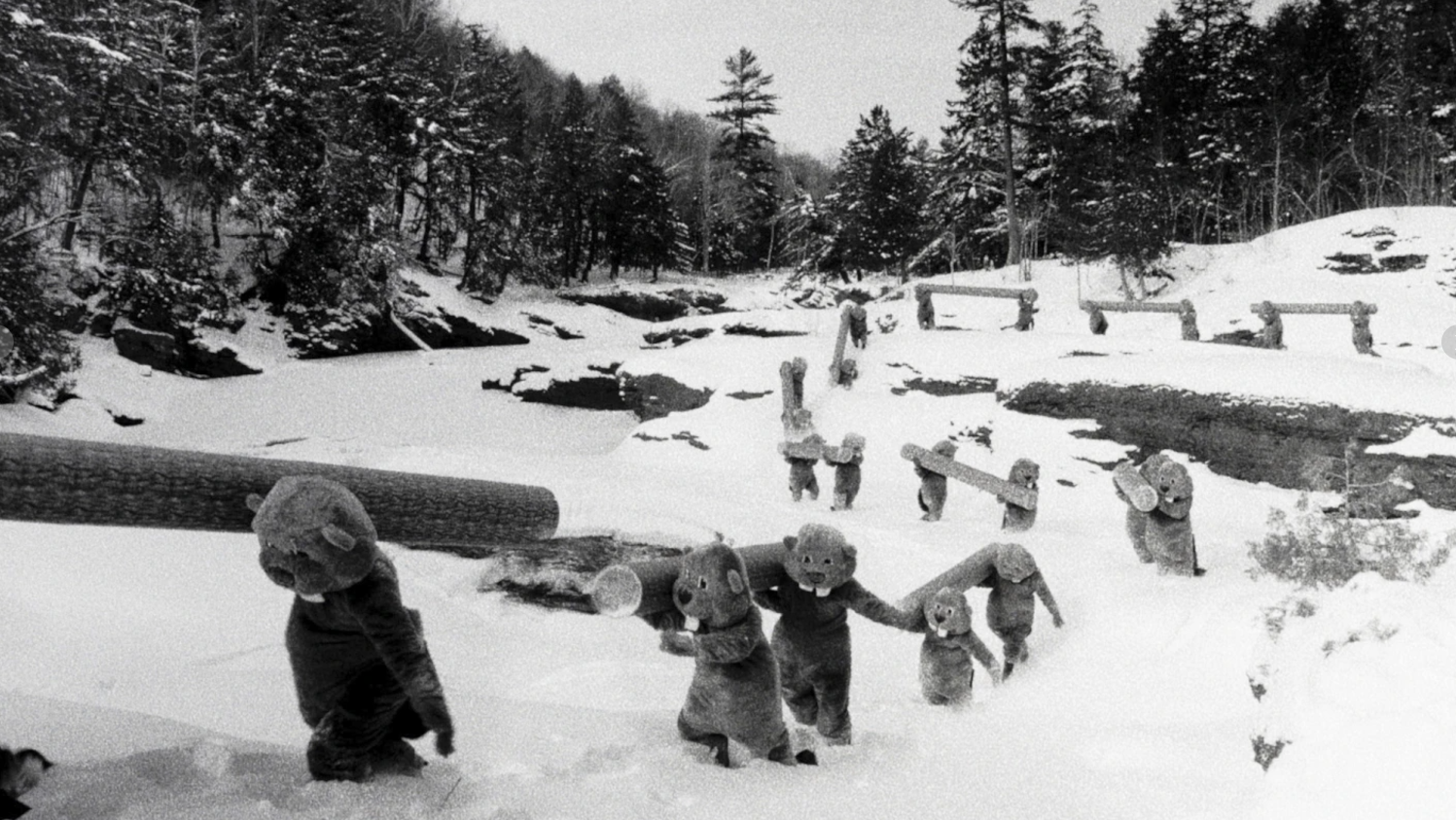 A scene from the film “Hundreds of Beavers.”