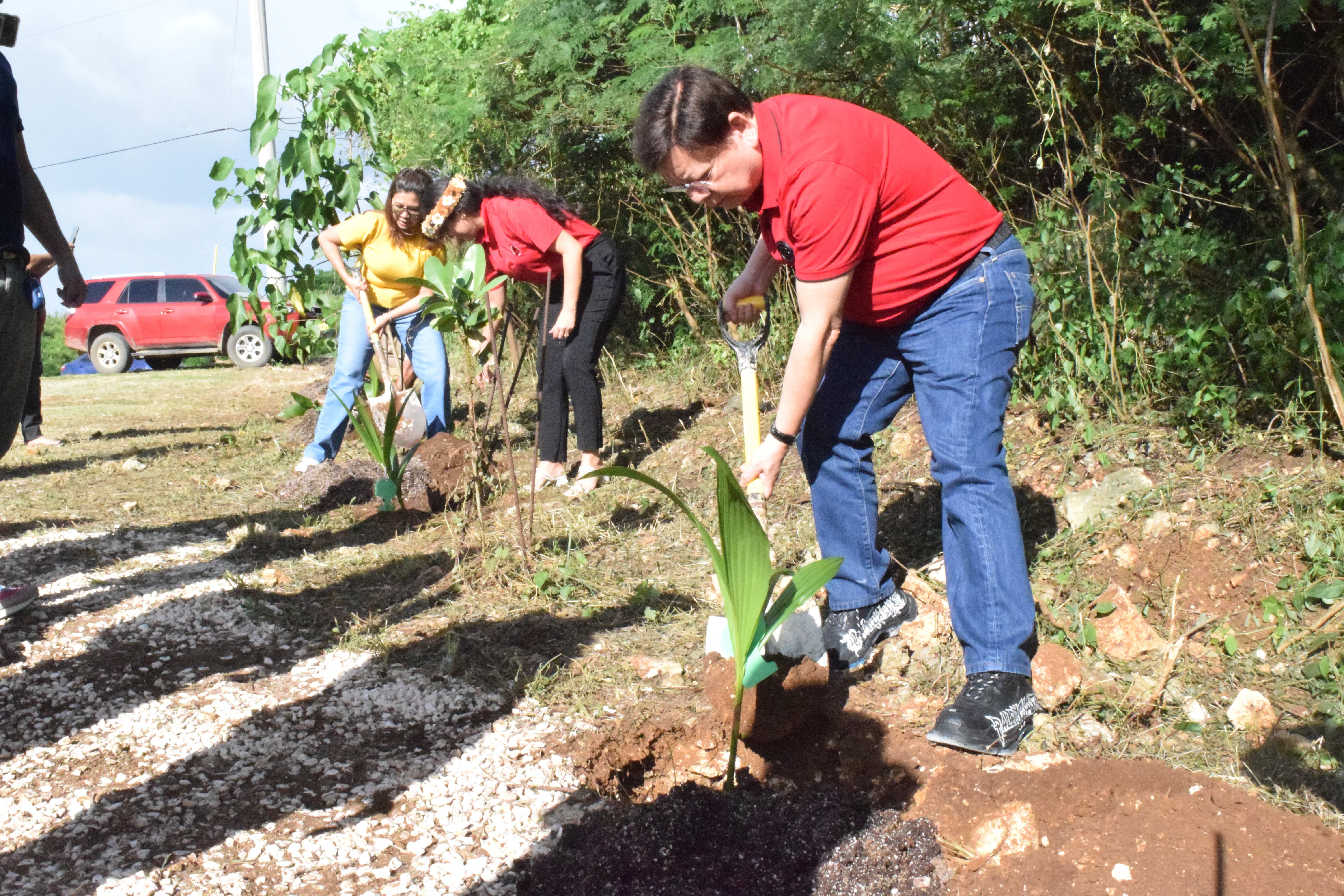 Philippine Congressman Rodante Marcoleta, right, Coral Coast Foundation Corp. Director Eleanor Alinas, left, and Northern Marianas College-Cooperative Research, Extension and Education Services Dean Patricia Coleman plant coconut trees as part of the launching of the Sustainable Fresh Greens project in Koblerville on Thursday.