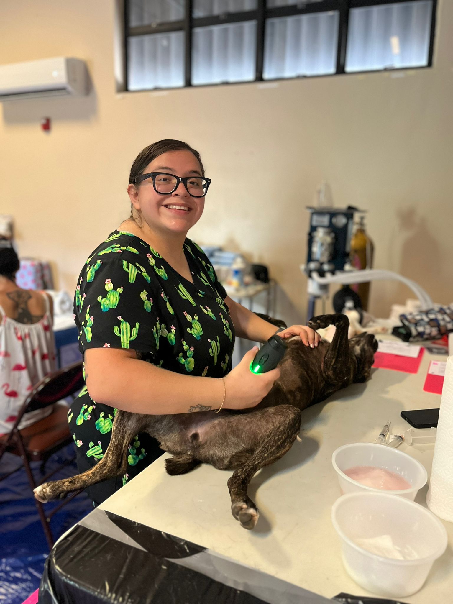 A Parker Project team member assists with a local pet at the Kagman Community Center on Saturday, Nov. 9. Visit www.saipanhumanesociety.org to register your pet for a surgery. 