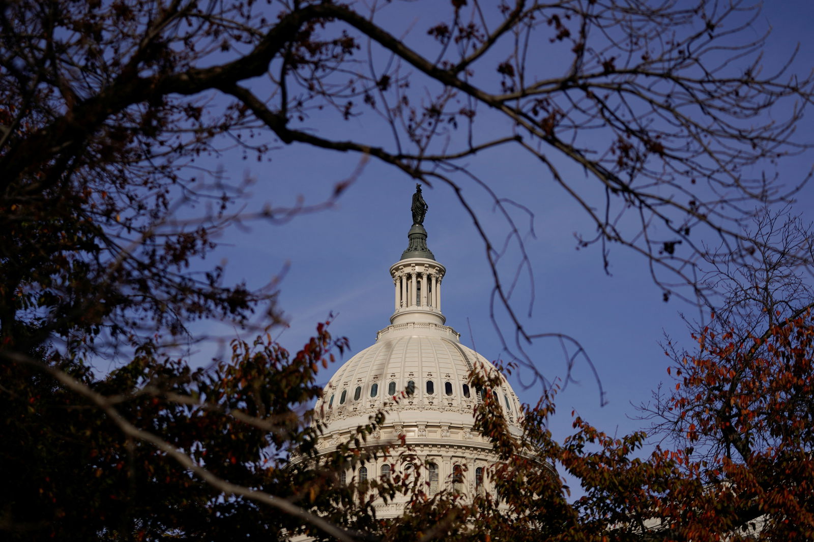 The U.S. Capitol dome is seen on Capitol Hill in Washington, D.C., Nov. 13, 2024.