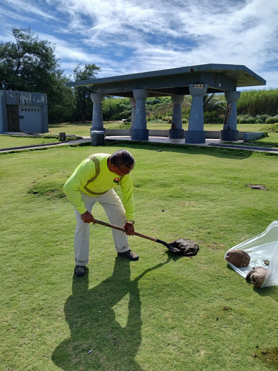Max Aguon uses a shovel to clear cow manure at Banzai Cliff on Sunday morning.