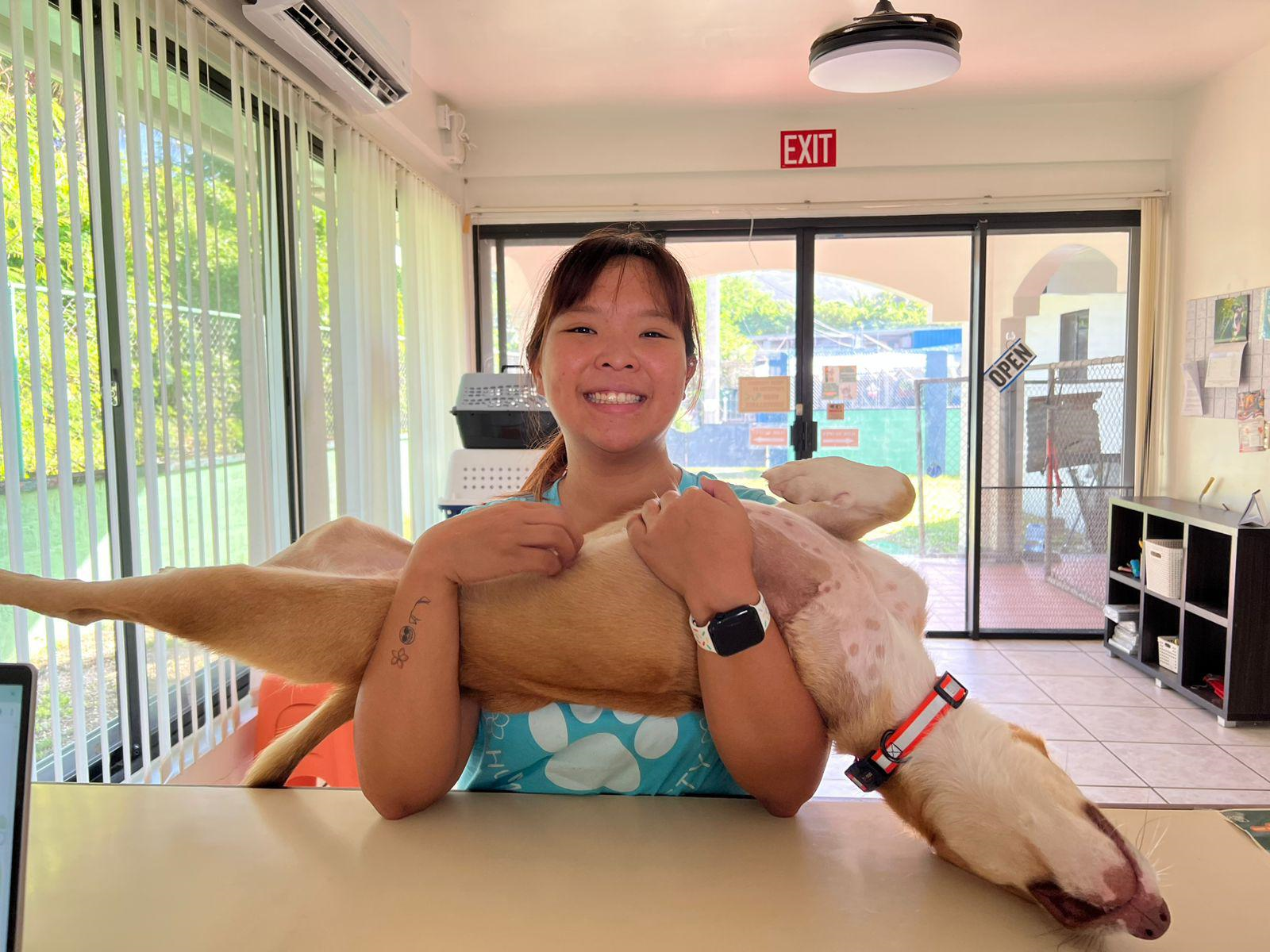 Ruby Ma, clinic manager of Saipan Humane Society, holds a playful dog at their Garapan facility. 