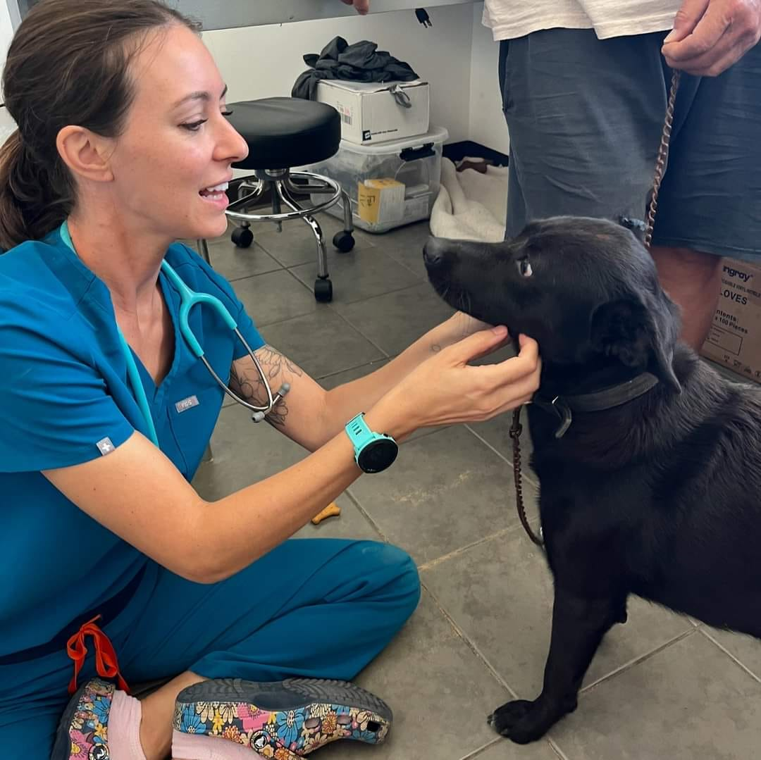 Saipan Humane Society founder Lauren Cabrera, a nurse practitioner, has been was accepted into Washington State University’s Doctorate of Veterinary Medicine Class of 2029. After graduation, she plans to return to the CNMI to serve as a much-needed veterinarian.