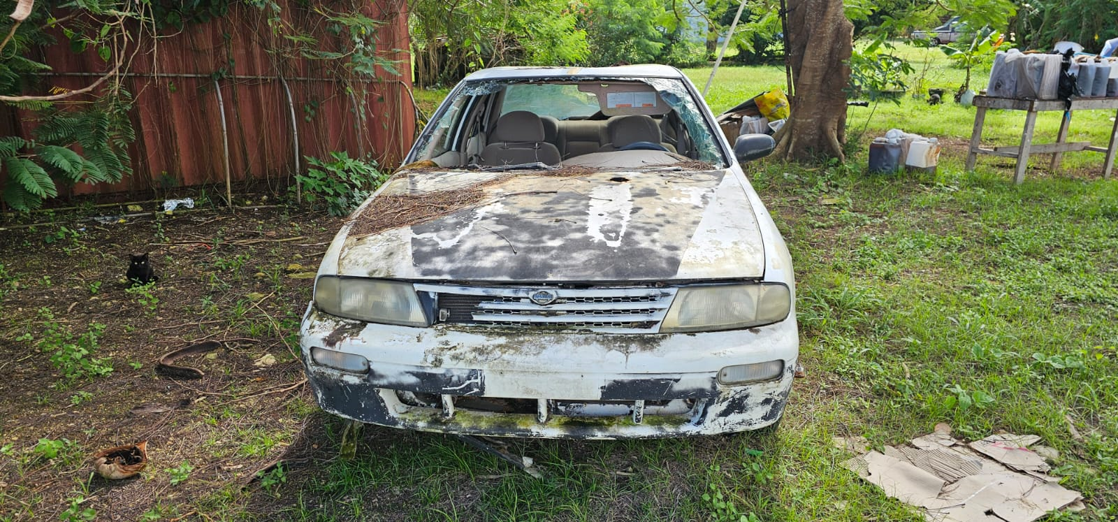 An abandoned car on the property where Daniel Durkin lives.
