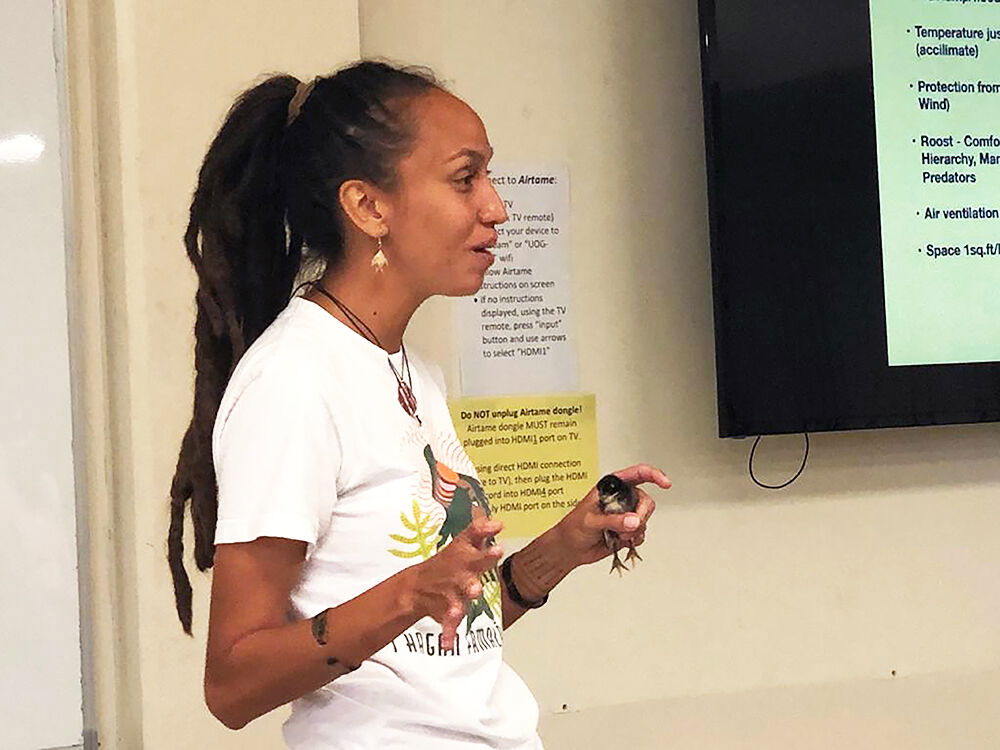 Jessica Nangauta, manager and research associate at UOG Triton Farm under UOG’s Land Grant, holds a baby chick while teaching proper care for day-old chicks in an egg production workshop in March 2020.