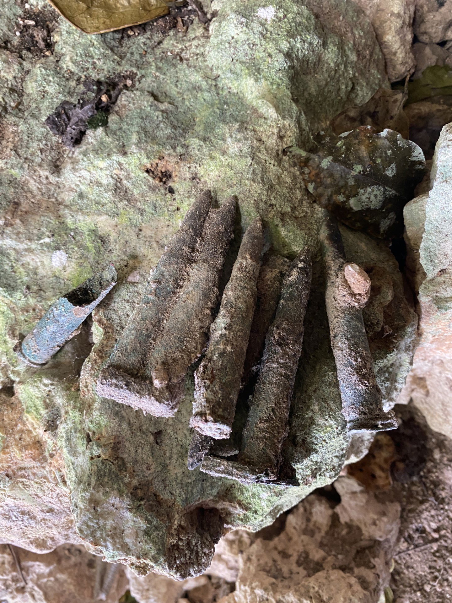 Some of the bullets inside the cave.