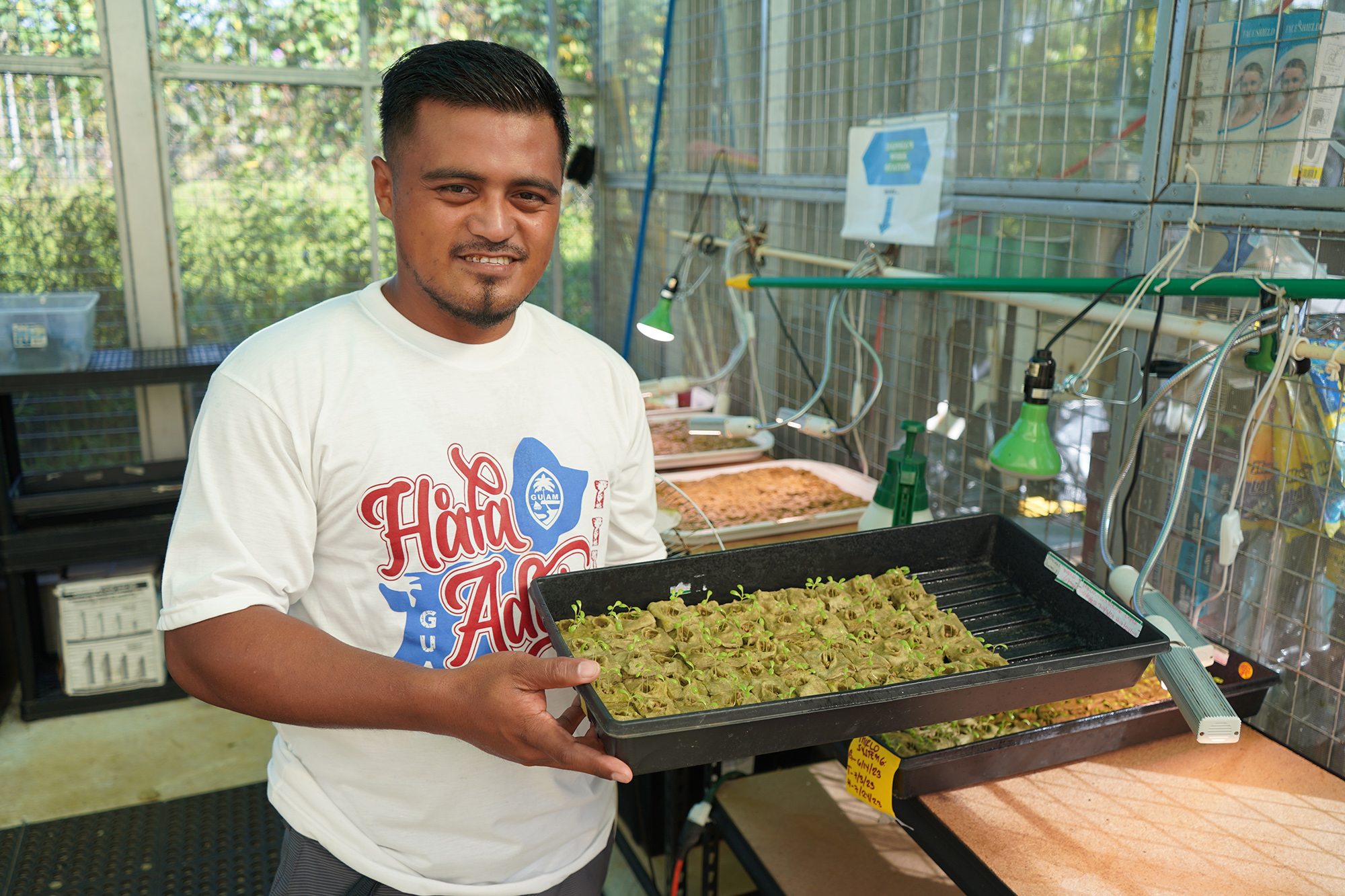 Welpert Washington, an agricultural technician at the College of Micronesia-Federated States of Micronesia, holds a tray of seedlings at the COM-FSM Hydroponic Greenhouse on the Pohnpei campus in 2023. A new 2+2 transfer pathway established between the University of Guam and COM-FSM will allow students in the FSM to complete their associate degree in agriculture at COM-FSM in two years, then transfer to UOG to complete their bachelor’s degree in agriculture in another two years.