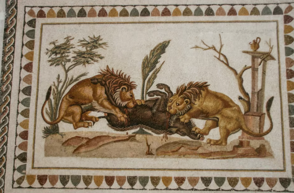 An ancient Roman mosaic depicting a scene of two lions attacking a boar, is on display at the El Jem archaeological museum in El Jem, Tunisia, December 2011.REUTERS