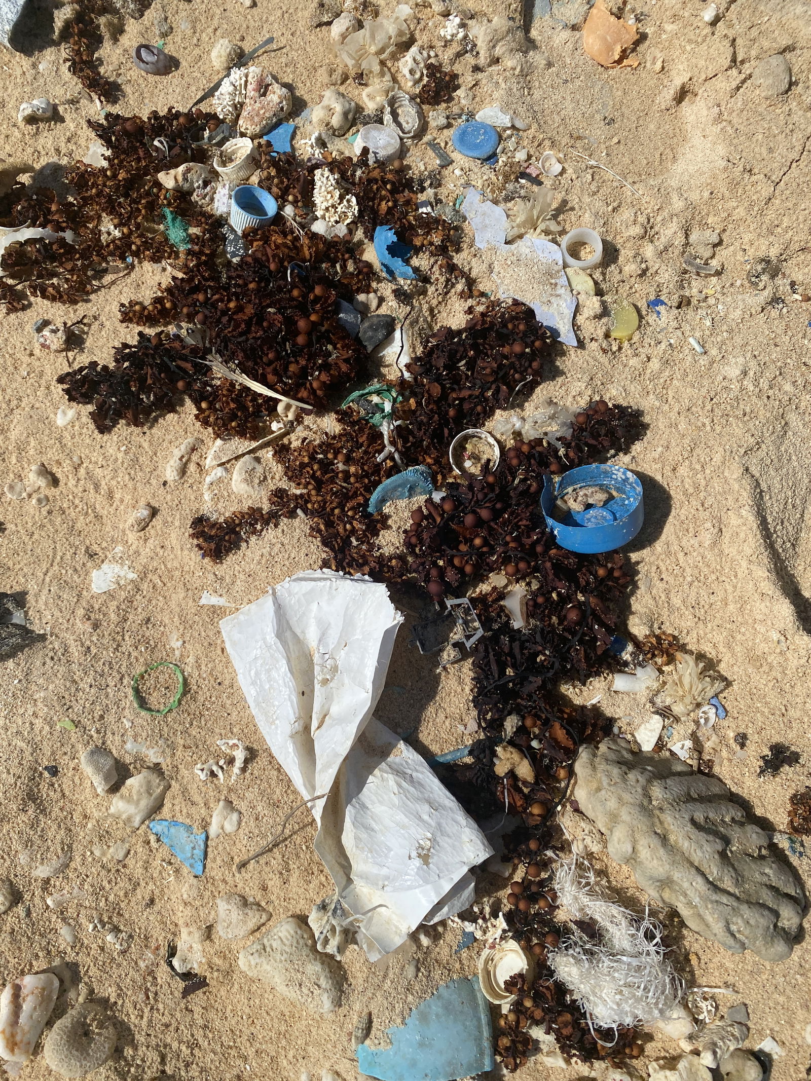 Various plastic items are scattered across Tank Beach.