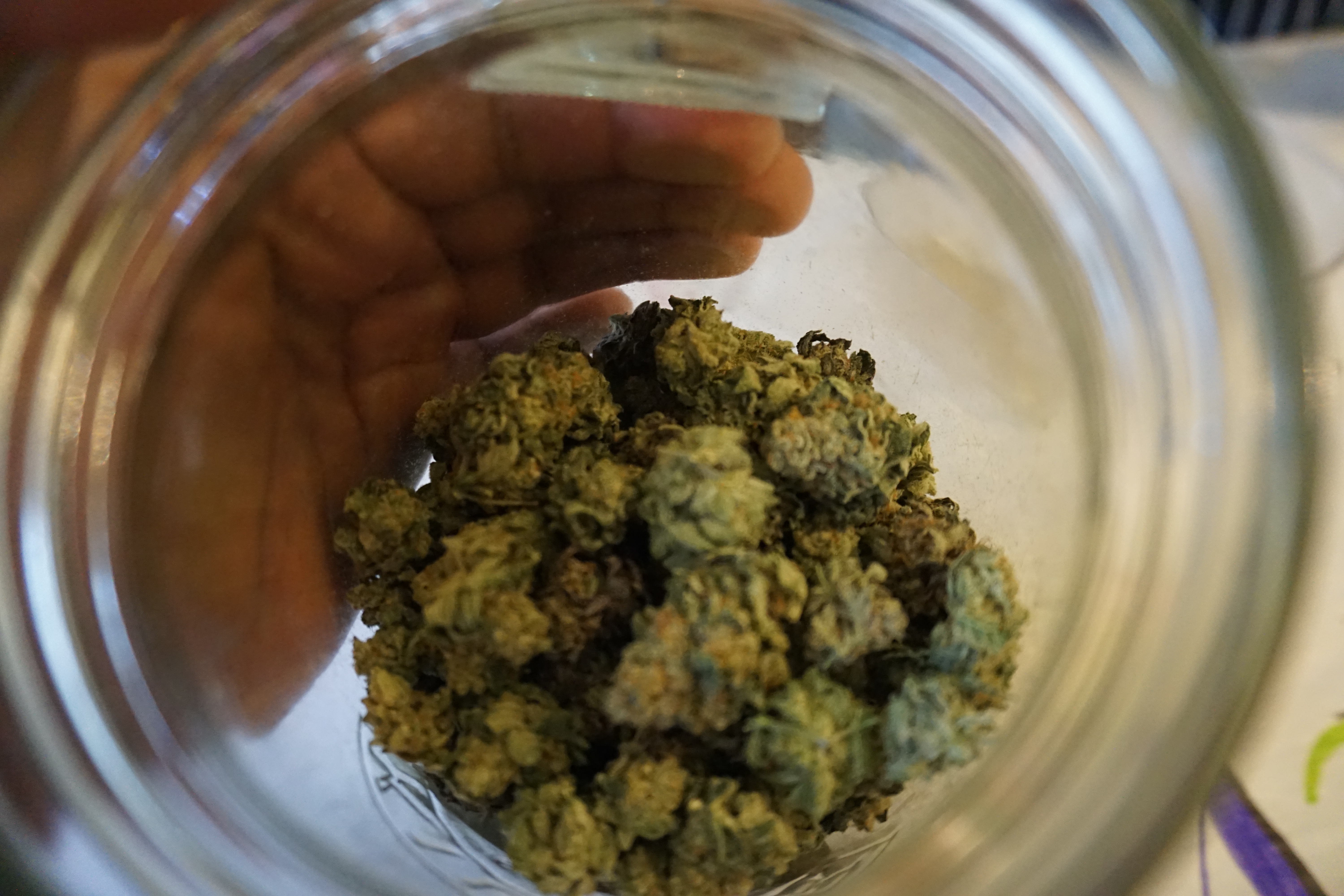 Some Mutoid Man, which you can find at The HookUp.