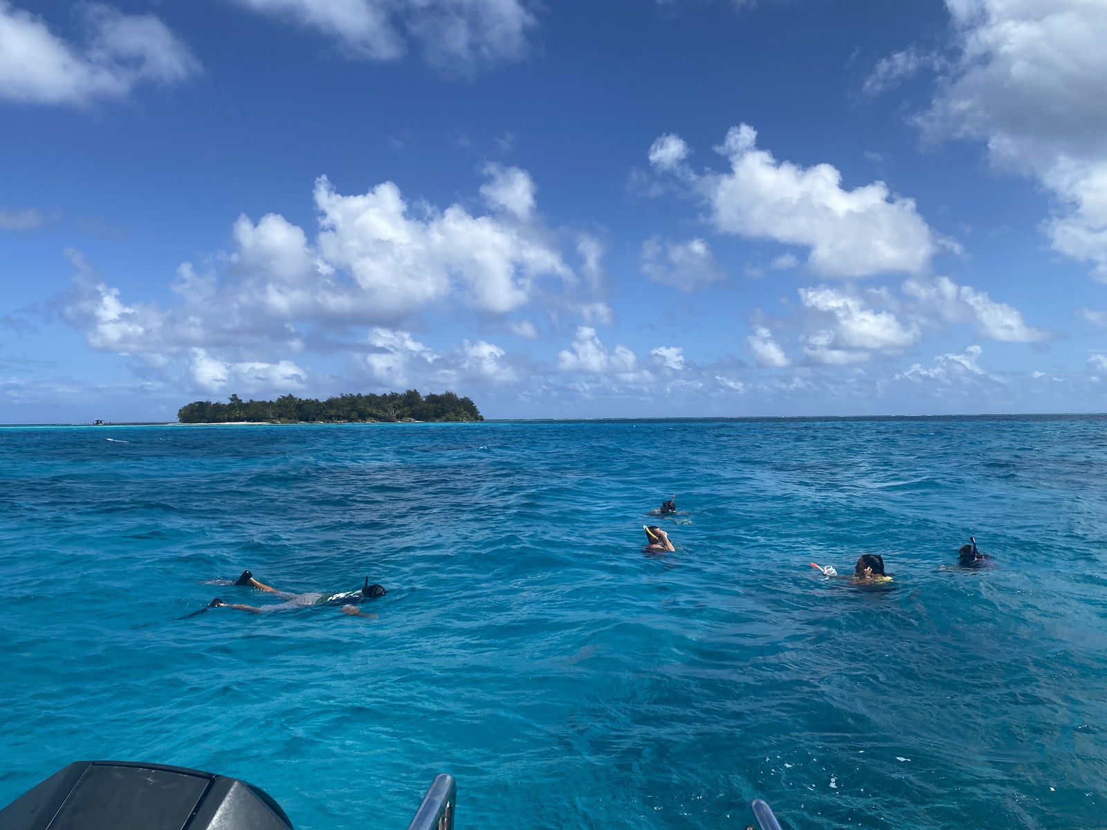 Residents swim above the wreck of “Jake,” a Japanese aircraft downed during World War II and now part of the Maritime Heritage Trail.