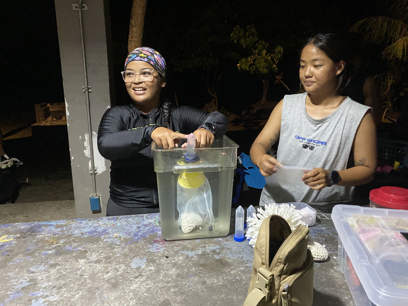 Some of the coral spawn collected on May 14.