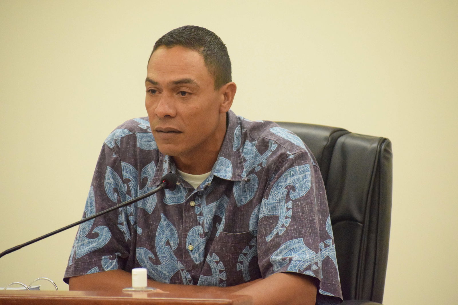 Dennis James C. Mendiola