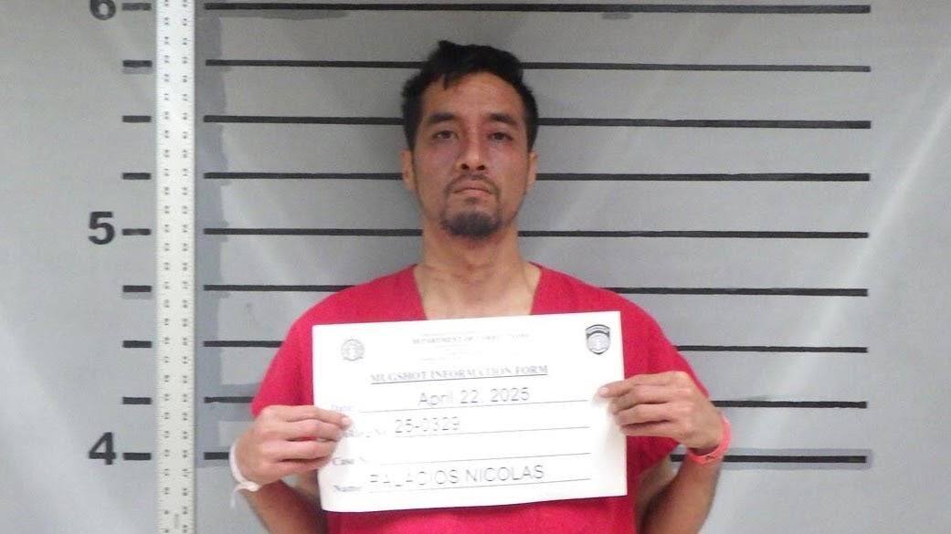 Nicolas Franklin Palacios