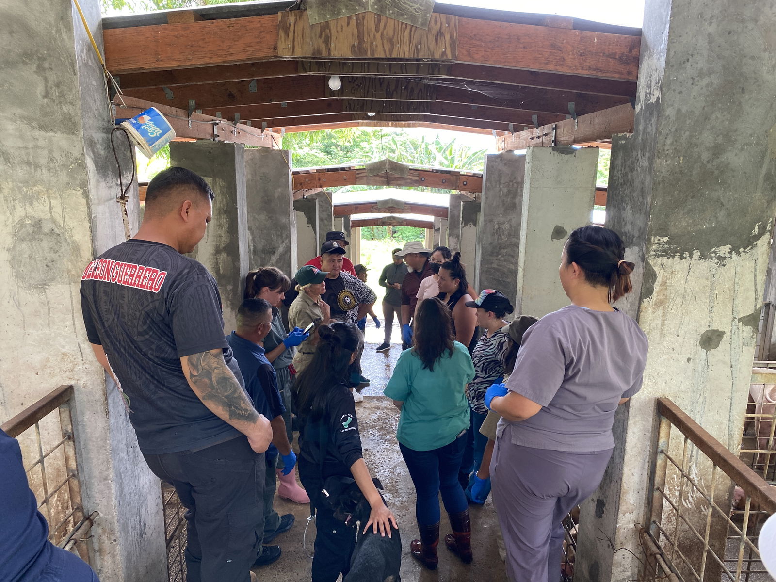 Sixteen individuals are undergoing paravetrinary training at Kumoi Farms.