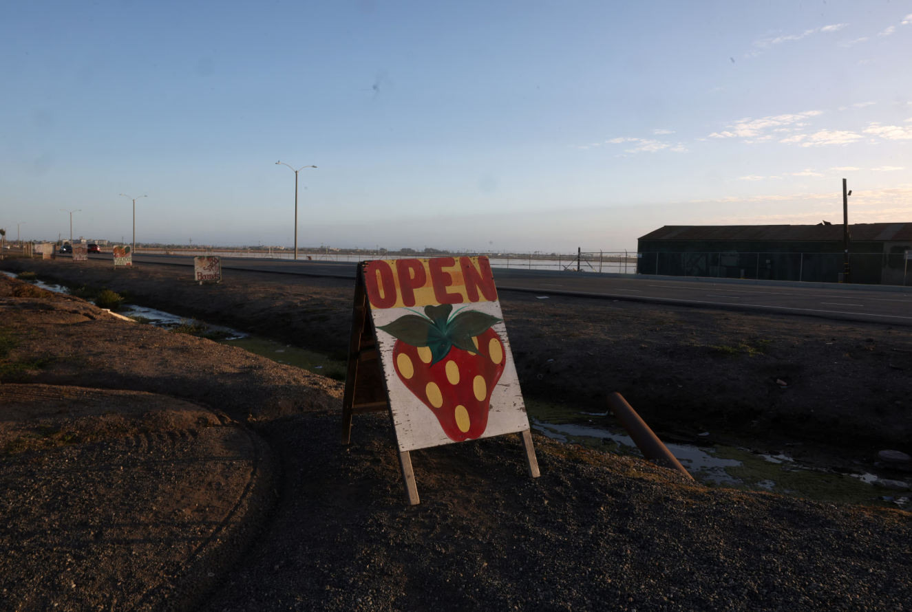A sign advertising strawberries stands on a roadside, near fields in Oxnard, California, June 15, 2025.REUTERS