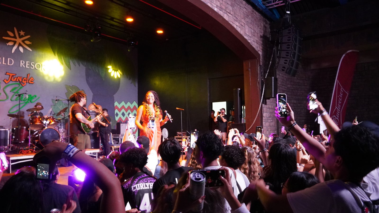 Tenelle performs on stage with The Resistance.