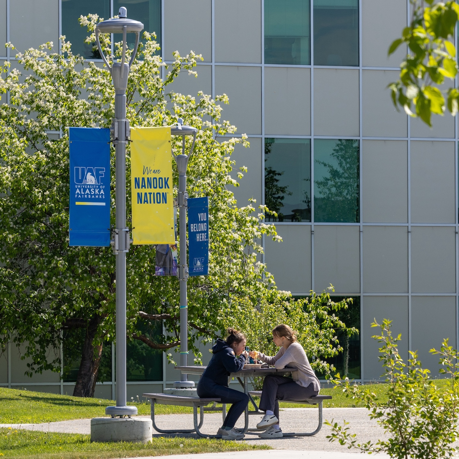 A sunny day on the University of Alaska Fairbanks Troth Yeddha' campus.