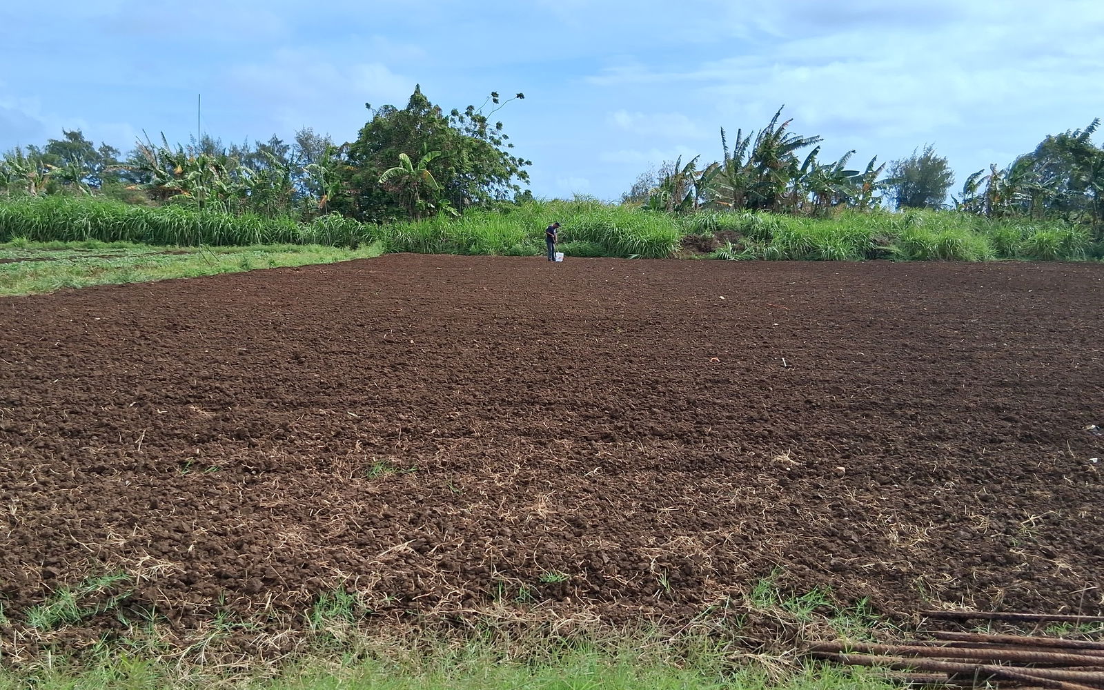 A sample area where soil samples were collected at the Division of Agriculture Kagman plots.NMC photo