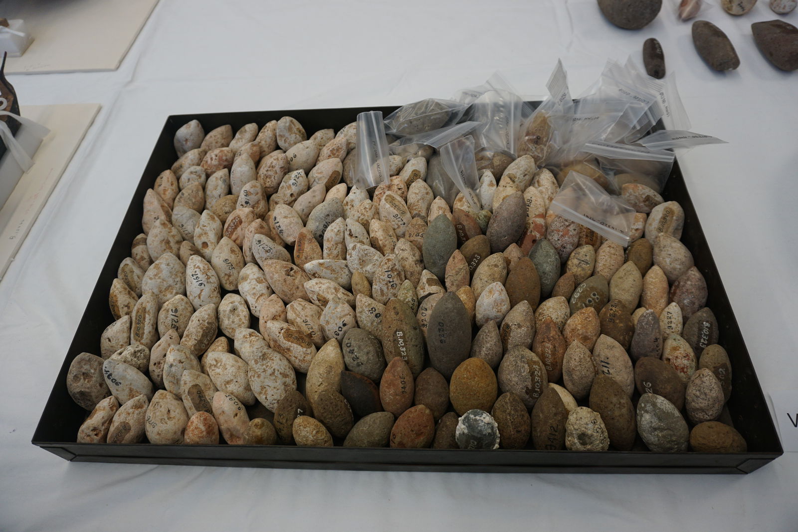 In 2024 Variety was able to see dozens of slingstones from the Hornbostel Collection.