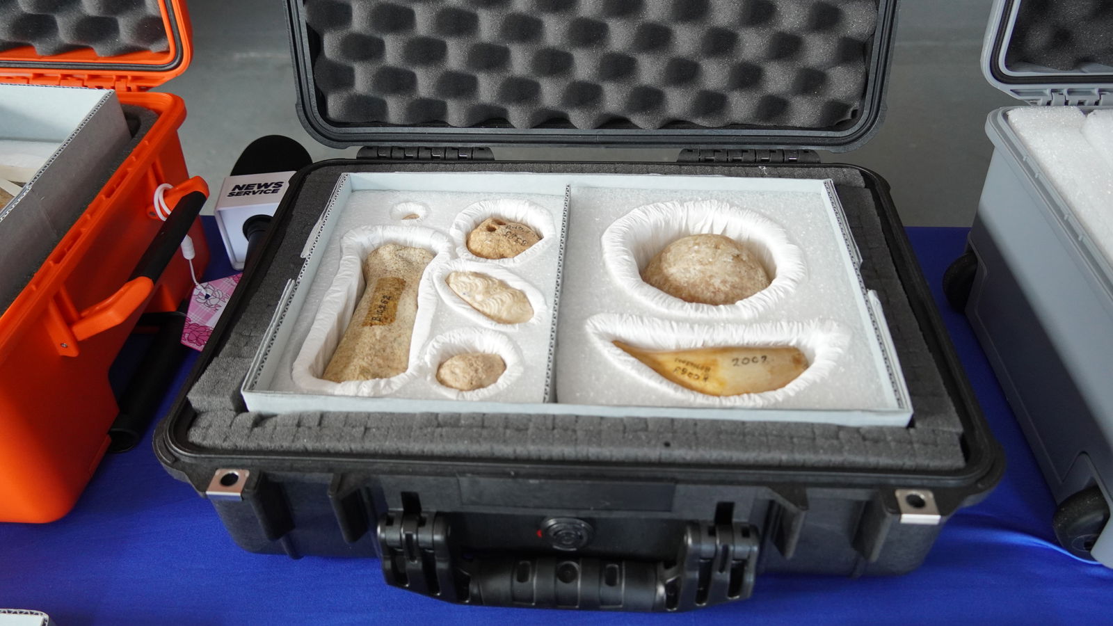 The pestle on the left side of this photo is not the usual shape found in the Marianas. It more closely resembles food pounders from other parts of Micronesia. The fishing implement in the top-right corner is made from a crystal-like material.