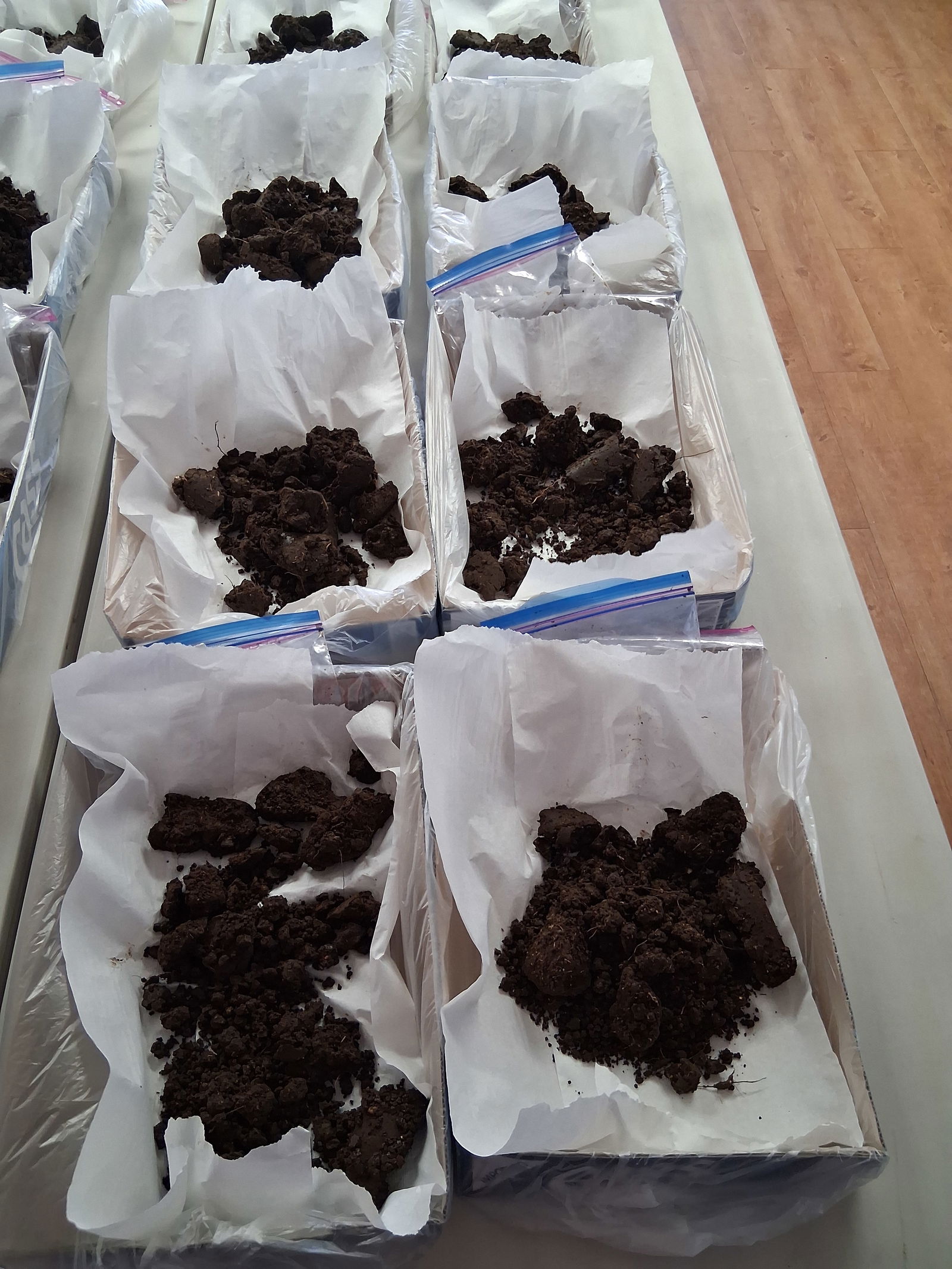 Collected soil samples are prepped for shipment. The samples were sent to the mainland U.S. for chemical analysis.NMC photo