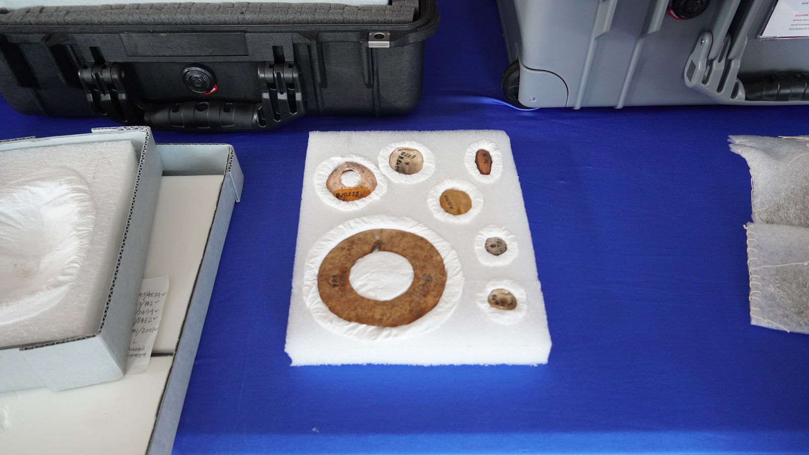 Some of the artifacts brought back from Hawaii differ from other artifacts in the local museum's collection.