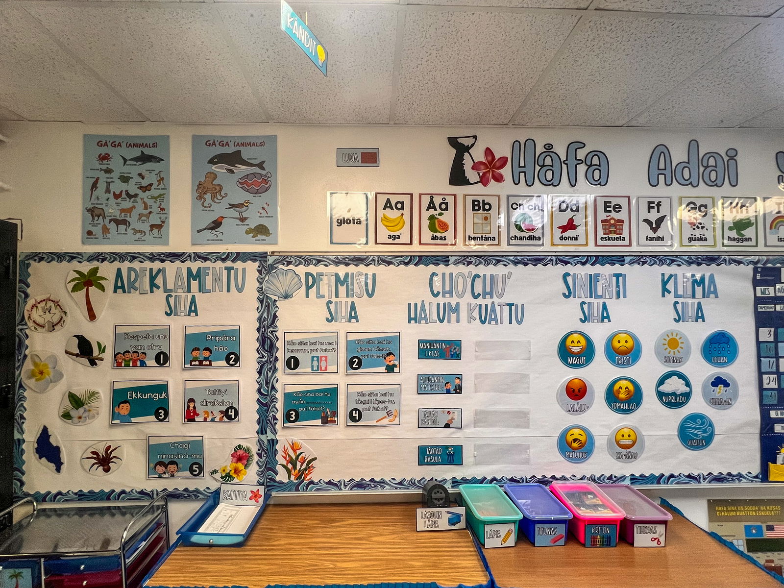 In an immersion classroom, printed instructional materials line the walls, reinforcing lessons in the local language and supporting both student learning and cultural preservation.
