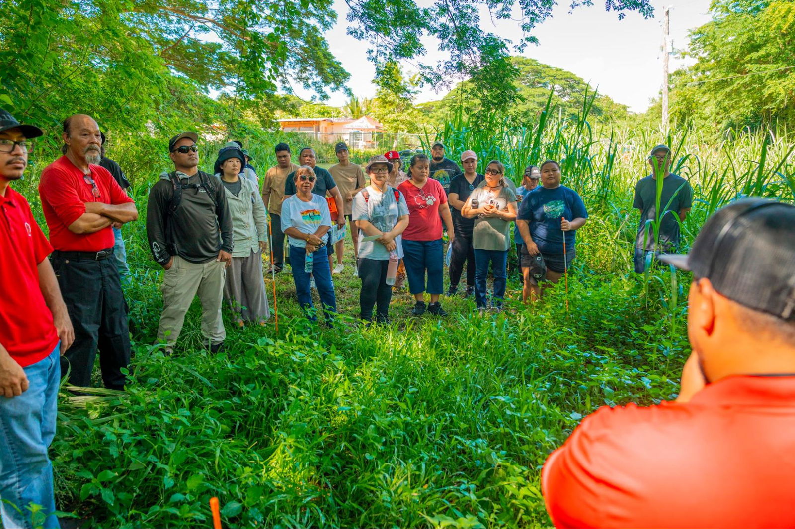 Regenerative food forests in real life: Students of Agrowcademy take a tour of the NMC-CREES regenerative food forest.