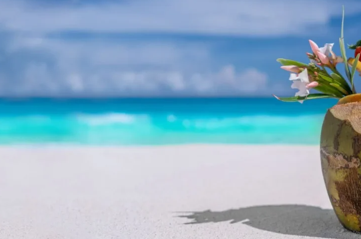 MV’s annual list of people, things, places and events to be thankful for, 31st edition