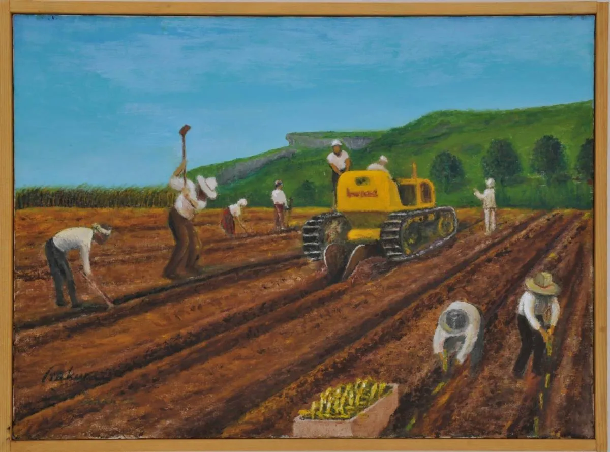 Marianas commemorates sugarcane era with Matsue exhibit, Journey Run